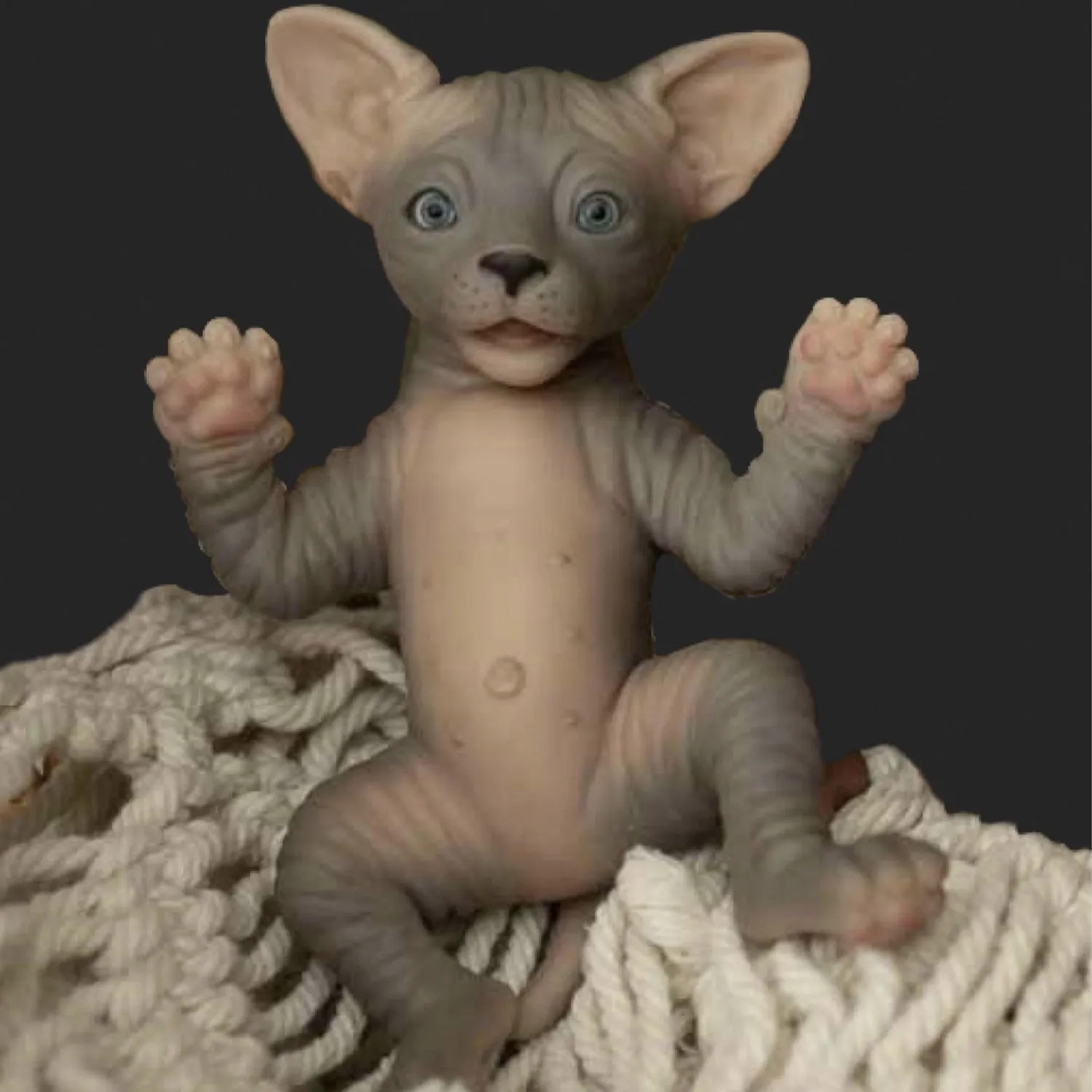 Игрушка "Котенок Сфинкс", 15 см — изображение 3